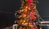 Новогодняя елка на территории Калашниковского электролампового завода. Фото: kalashnikovo.ru
