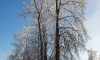 Поселок Калашниково, зима 2013-2014. Фото: kalashnikovo.ru