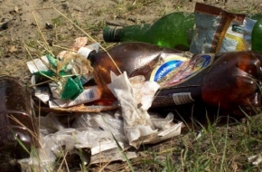 Прокурор Спировского района через суд добился от администрации уборки мусора