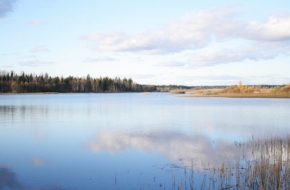 Следственный комитет начал доследственную проверку законности продажи территории у Гнездовского озера