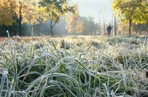 В Тверской области ожидаются заморозки до -3 градусов