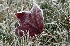 В ближайшие дни в Тверской области возможно похолодание до -3 градусов