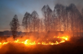 В России запретили выжигать сухую траву