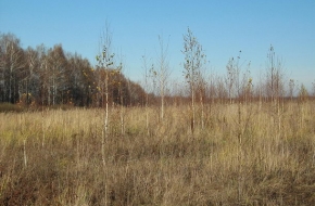 За заросшие поля в Лихославльском районе землевладелец заплатит еще один штраф в размере 110 000 рублей