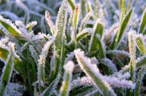 В Тверскую область идет резкое похолодание до -3 градусов