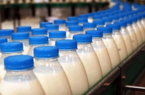 На торжокском молокозаводе обнаружено молоко с примесью антибиотиков