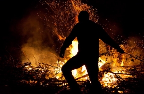 Лесозаготовитель оставивший после себя бардак в Торжокском районе заплатит штраф