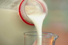 В лихославльском молоке нашли антибиотики
