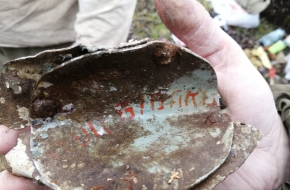Поисковики нашли под Лихославлем обломки рухнувшего самолета (фото, видео)