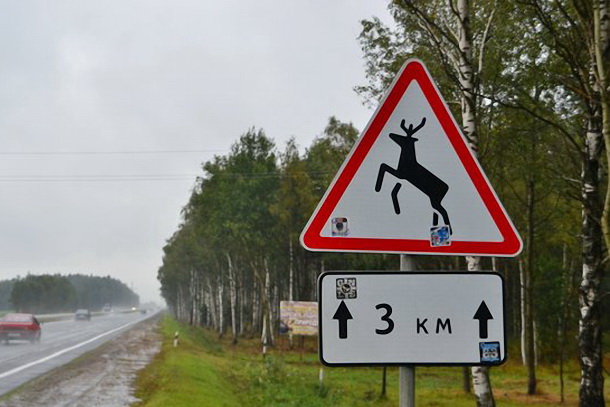 Из-за отсутствия дорожных знаков страдают люди, гибнут животные. Фото: govorim.by