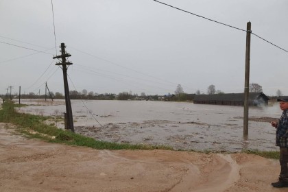Наводнение в Спировском районе. Фото: Ирина Горохова