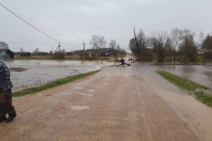 Наводнение в Спировском районе. Фото: Ирина Горохова