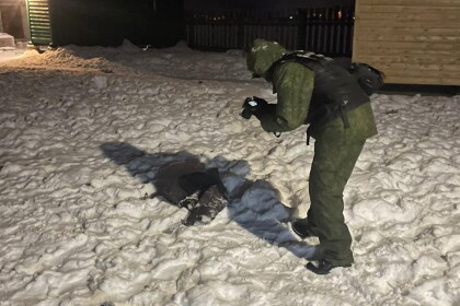 В Тверской области собаки загрызли насмерть 6-летнего ребенка